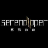 北京赛瑞迪普空间设计有限公司的品牌官网
