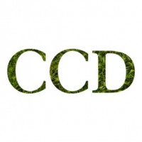 CCD郑中设计设计公司